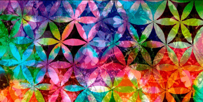 Mit hensigt var at skabe et video forløb med natur og mennesker som det underliggende lag, hvorpå Flower of Life lægges over. Således kommer beskueren til at se ”gennem” Flower of Life motivet.